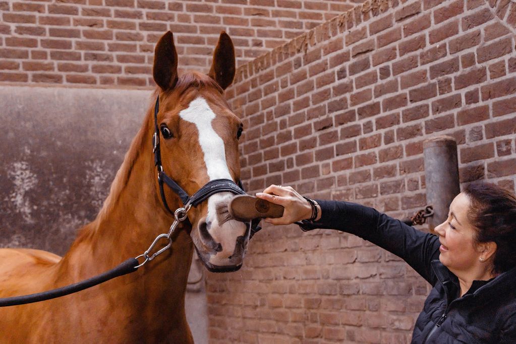 Jeannette legt haar hand op het hoofd van haar vos bij de stal