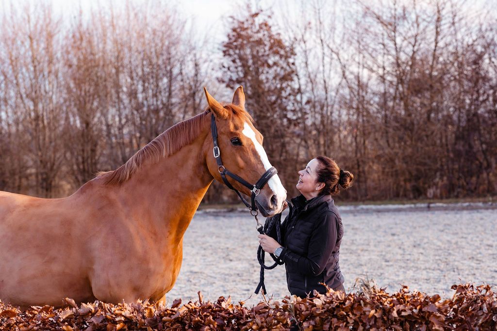 Jeannette en haar vos kijken elkaar aan achter een beukenhaag